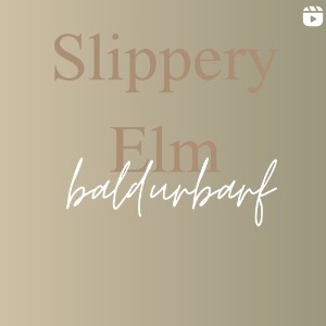 Bild von Grafik mit Text Slippery Elm | Instagram Beitrag